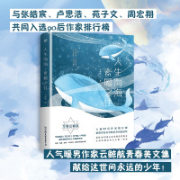 赠明信片+书签+手写信人生海海素履之往 云鲸航著 与张皓宸、卢思浩等同入选90后作家排行榜 青春校园文学小说励志书