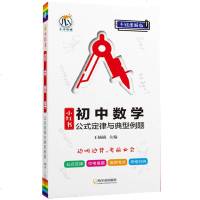 正版 初中数学公式定律与典型例题 手绘图解版 七八九年级适用 瓜二传媒南瓜姐姐*楠楠 中学教辅初中数学例题 哈尔滨出