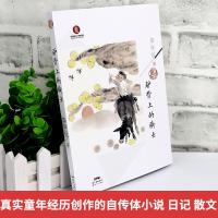 驴背上的骑士 李学斌著2020年暑假读一本好书推荐书目 儿童文学故事小说学校老师推荐必读6-9-12岁小学生三四五六