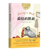 正版 迪克动物小说 疯狂的鹦鹉 外国儿童文学 8-9-10-12-14岁中小学生必读课外阅读书籍三四五六年级老师推荐