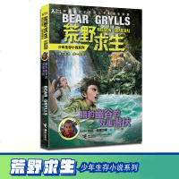猎豹幽谷的双重潜伏荒野求生少年生存小说系列12探家贝尔写给儿子的求生秘籍儿童野外生存绝境重生6-9-12岁小学生课