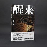 醒来 海飞谍战世界系列 海飞著麦家苏童唐家三少推荐 电视剧麻雀惊蛰原著 局中人红雀同类型暗战特工悬疑谍战长篇小说正版