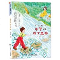 假小子毛潇潇系列 爷爷的布丁森林 毛芦芦 著 彩图美绘连环画故事 中小学生课外阅读书目 儿童文学书籍 青少年成长励志
