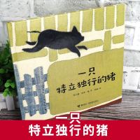 一只特立独行的猪绘本 王小波著中国传统剪布绣汉画风 生动精美的传统布艺 每个中国人都应该读的人生寓言3-5-8岁儿童