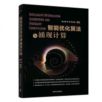 智能优化算法与涌现计算 李士勇 智能科学 模拟人脑思维 群智能优化算法书 计算机科学 仿人智能优化算法 人工智能技术