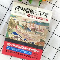   正版  两宋烟雨三百年薄暮洲著壹宋朝历史书籍没有长城的王朝中国历史古代历史汴京之围古代政治古代官场小说文学散文书