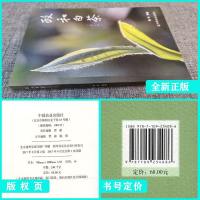 政和白茶 第二版 杨丰 政和白茶百科全书政和白茶传统制作技艺初制工艺参考书籍 政和白茶存储方法政和白茶日常品饮方式中