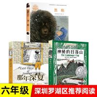 套装3册 黑焰 那年深夏 神秘的日落山 六年级深圳罗湖区推荐课外阅读书目 经典文学著作中小学生课外阅读推荐读本