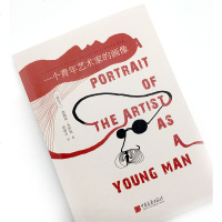 一个青年艺术家的画像 詹姆斯.乔伊斯意识流小说的 自传体小说 世界名著 给每一个永不妥协的青年 外国文学小说   书