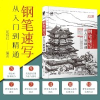 钢笔速写从入到精通 延杨红 编 工艺美术(新)艺术 图书籍 