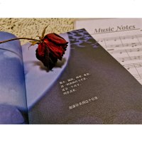 临时保镖小说实体书绿野千鹤著 赠绿鸟鸟与主角Q版立台+哥哥应援手幅+星星日报 晋江文学城青春都市女生爱情系列小说言情