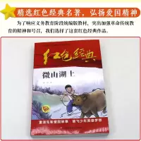 中国红色儿童文学经典微山湖上邱勋著正版书小学生四五六年级课外书必读少年励志故事书革命传统教育读本爱国