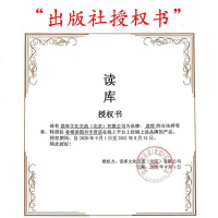 正版   王南建筑史诗系列10册六朝遗石/营造天书/修道圣所/汉家陵阙/塔窟东来/金色天国/木骨禅心/梦回唐朝等 建