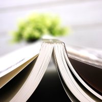 图解音乐史 许汝纮 编著 西方音乐史书籍 理清西方音乐发展脉络 了解古典音乐大师背后的故事 1600年以前的音乐家作