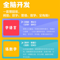 幼儿全脑开发步步高 4-5岁一套8本 幼小衔接 幼儿园宝宝早教启蒙益智游戏书 语言科学思维智力开发提升训练 数学识字