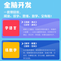 幼儿全脑开发步步高 6-7岁一套8本 幼小衔接 幼儿园宝宝早教启蒙益智游戏书 语言科学思维智力开发提升训练 数学识字