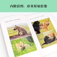 新版 重返狼群2 再见格林 李微漪著 狼图腾作者姜戎惊叹的生死之书 团队管理青春随笔课外读物同名电影 青春文学励志成