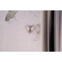 森罗 沈宁工笔画作品集 沈宁 著 工艺美术（新）艺术 图书籍