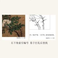 十年名作经典宋代花鸟小品二李晓明编 工艺美术高清原作赏饰临习绘制技法放大白描底稿临摹天津杨柳青画社
