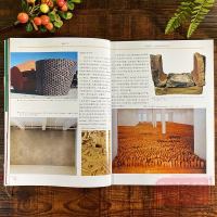 工艺美术制作教程:陶瓷工艺 20世纪陶瓷演变+原材料+工具及使用+制作工序+装饰工艺+步骤 基础工具使用教程示范指导