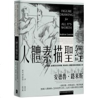 预订台版人体素描圣经(经典纪念版)39组人体图解55项姿势分析12堂人体素描技法训练艺术绘画书籍