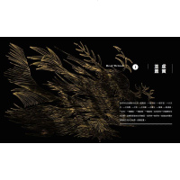 台版 神物我如 Lili 跨界服装舞台电影美术视觉艺术创作理论知识艺术类书籍