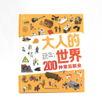 正版   大人的世界 200种常见职业 20张超真实大幅全景图 200种常见职业介绍 职业科普 4-8岁儿童认知绘本