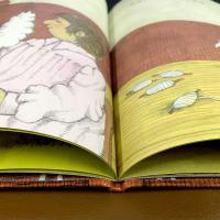 阿利的红斗篷 精装正版绘本 一年级小学生课外阅读必读书籍 信谊世界精选图画书 启蒙认知 少年儿童 非注音版