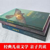 山居岁月系列全3册惊风的山远山深处6-12周岁纽伯瑞儿童文学奖中小学生课外阅读书籍三四五六年级冒励志小说7-12岁