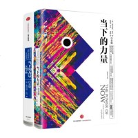 套装 当下的力量+当下的力量实践手册 白金版 2册 埃克哈特·托利著 自我实现/励志 心灵与修养 心灵经典之作