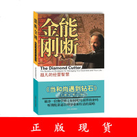 能断金刚 超凡的经营智慧 麦克罗奇著 又名当和尚遇到钻石 经营智慧企业管理 修身与赚钱之道 业力管理前篇 正版图书