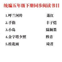 五年级 语文同步必读课外书全套5册金字塔夕照小岛手指桂花雨琦君散文精选呼兰河传  小学语文教科书中小学生老师推荐阅读