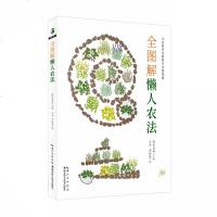 全图解懒人农法 绿手指园艺丛书 阳台菜园书蔬菜栽培技术蔬菜种植技术种植蔬菜的书种菜技术书空中菜园蔬菜种植书种菜书籍家