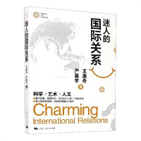 迷人的国际关系 王逸舟严展宇著军事图书书籍科学艺术人文量子思维蒙娜丽莎非凡的小人物国际关系插图 世纪出版