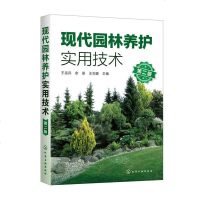 现代园林养护实用技术 第2版王刘豪编农业林业园艺专科教材庭院造景施工全书园艺智慧种植书籍大全绿植景观设计