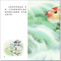 华师大精品绘本系列之《三月茶》精装硬壳版 小恐龙波比绘本馆 4-5-6岁儿童幼儿园大中小班故事书 三到六岁宝宝书籍。