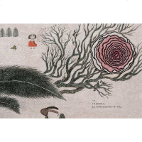 正版 精装硬壳 天衣无缝针 0-3-6周岁儿童绘本 幼儿故事书 宝宝启蒙书 幼儿园绘本 早教书 儿童读物 天天出版社