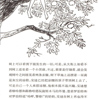 正版全5册 夏洛的网苹果树上的外婆宝葫芦的秘密列那狐故事天方夜谭 6-10-12岁小学生三四年级课外阅读必读经典书目