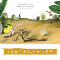 艺趣正版书籍0-3-6-10岁儿童读物小象柚子大冒作者拉莫娜巴德索幼儿园推荐绘本图书讲述关于冒和成长的故事书麦田