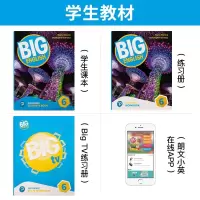 新版New big English 6 学生套装含书本练习册big TV练习册朗文小英学生账号美式发音6-12岁培生
