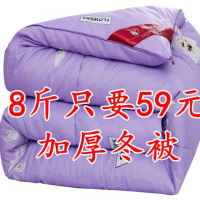 2019懒人被子多功能2019上新被子加厚保暖10斤丝棉被冬季加厚保暖10斤太空蚕丝被芯加网红抖音同款