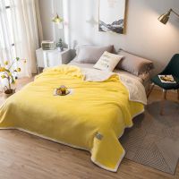 2019懒人被子多功能秋冬新款加厚保暖双层复合羊羔绒毛毯被子单人午睡毯双人床上用品网红抖音同款