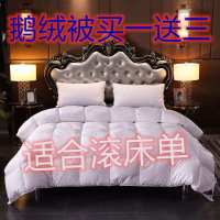 2019懒人被子多功能[羽绒被买一送三]羽绒被子冬被8斤加厚保暖95%白鹅绒春秋被冬被网红抖音同款