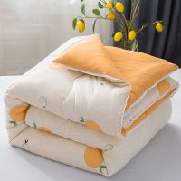 2019懒人被子多功能被子冬被加厚保暖春秋被芯单人宿舍学生棉被褥双人太空调被简约网红抖音同款