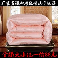 2019懒人被子多功能被子特价床上用品加厚保暖羽丝棉被子双人单人学生秋冬被子被芯网红抖音同款