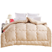 2019懒人被子多功能被子冬被加厚保暖棉被双人太空被芯单人春秋被褥羽丝绒被芯超蓬松网红抖音同款