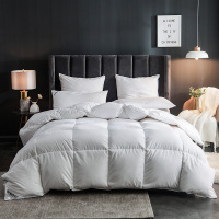 2019懒人被子多功能秋冬季被子羽丝棉保暖空调被冬被被芯单双人太空被床上用品网红抖音同款