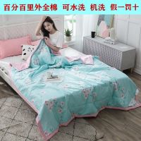 2019懒人被子多功能100%里外纯棉全棉夏凉被空调被可水人双人棉花薄被子春秋被芯网红抖音同款