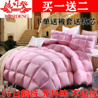 2019懒人被子多功能羽绒被95白鹅绒冬被加厚保暖春秋被子鸭绒被芯空调被8-10斤网红抖音同款