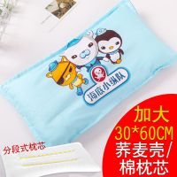 儿童全棉枕套+荞麦壳枕芯幼儿园宝宝1-11岁枕头纯棉小猪佩奇卡通抖音同款